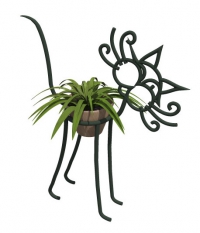 Decorative plant